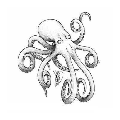 Grey octopus design Water Transfer Temporary Tattoo(fake Tattoo) Stickers NO.11379